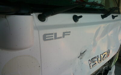 ELF